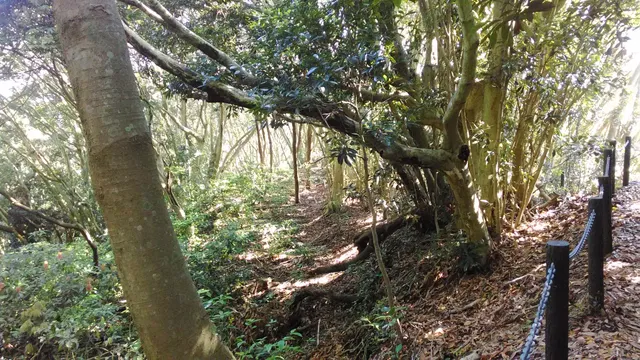Shirahama Castle Ruins