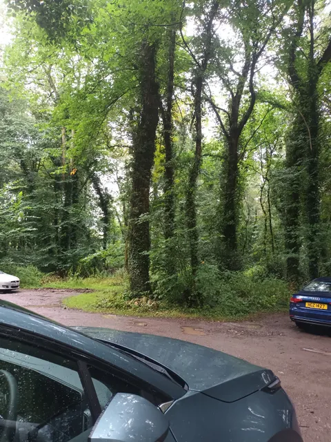 Wrekin Forest School