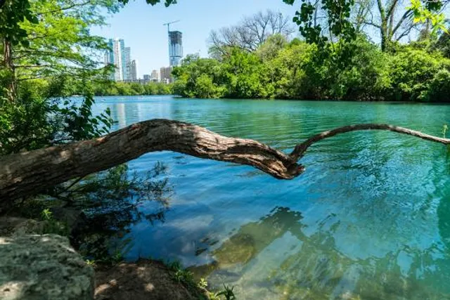 Barton Springs Municipal Pool