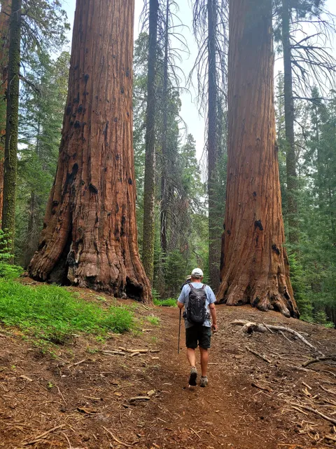 Redwood Canyon Trailhead