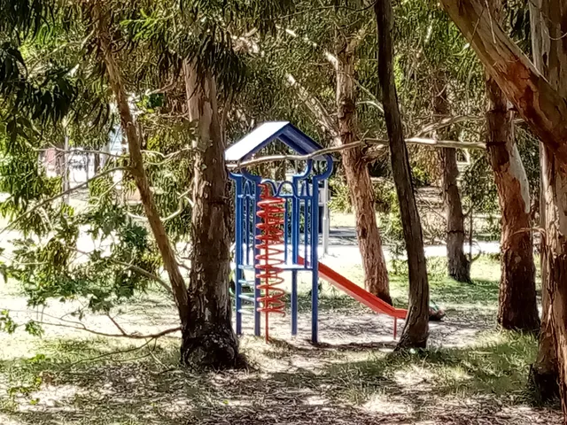 photo-1