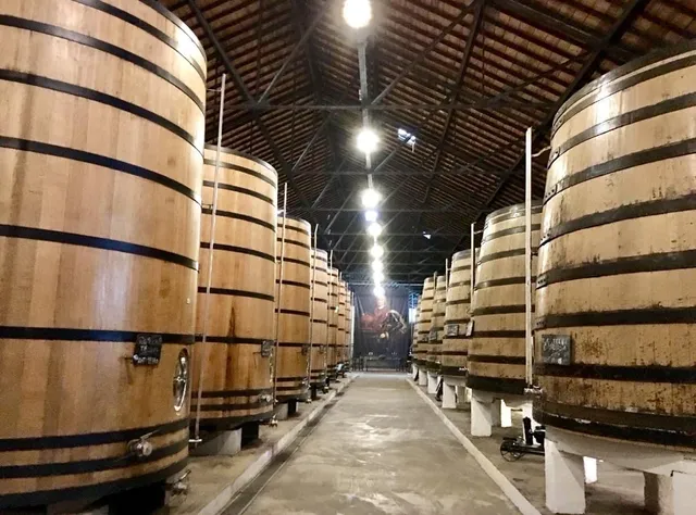 Real Companhia Velha