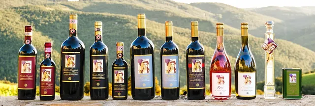 Fattoria di Montemaggio