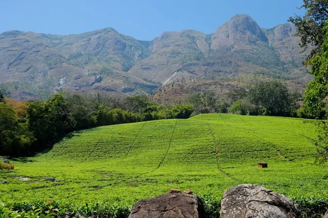 Mulanje