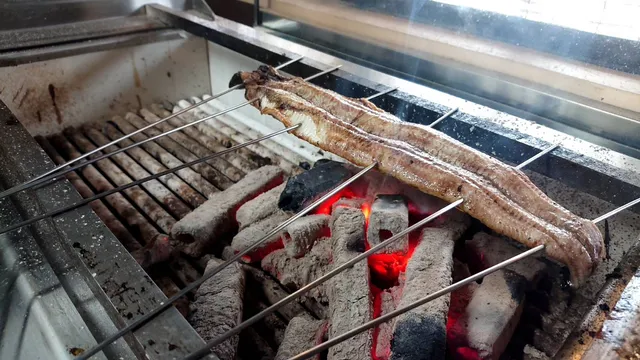 Zaimon Kogin. Charcoal grilled eel.