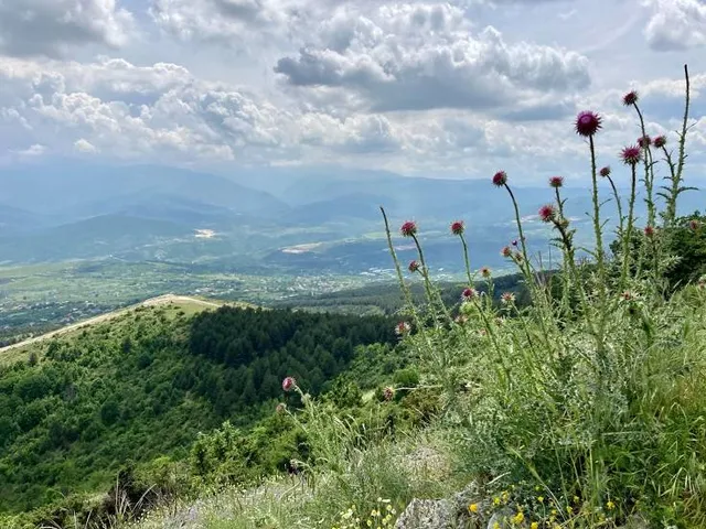 Municipality of Sopishte