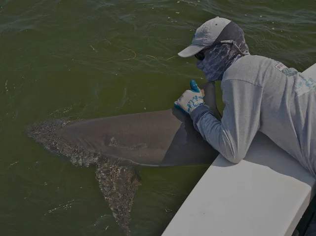 Florida Keys Fun Fishing