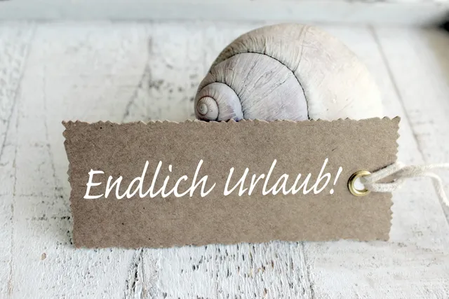Ferienwohnung Muschelsucher