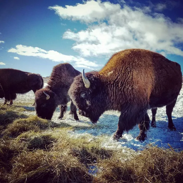 Lucky 8 Ranch - Adventure Tours