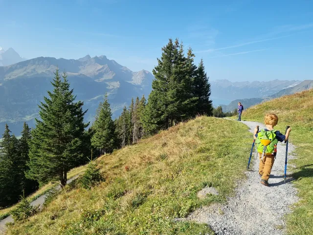 Muggestutz 2 - Bannwald - Zwergenweg
