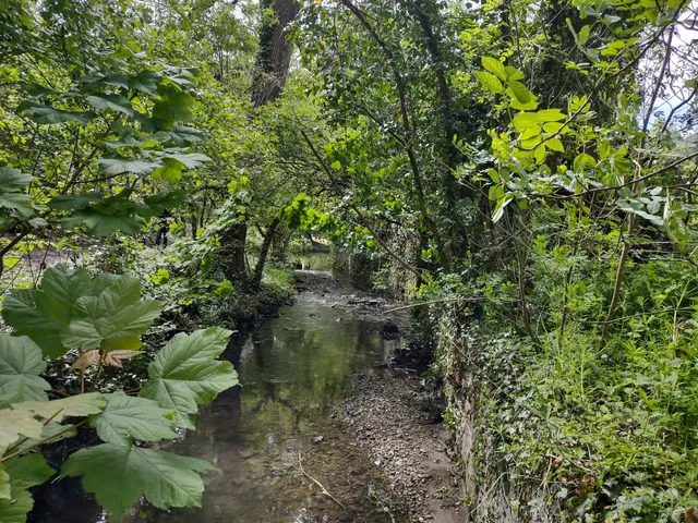 Westbury Wildlife Park Foundation