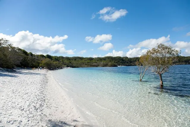 Lake Mckenzie (Boorangoora)