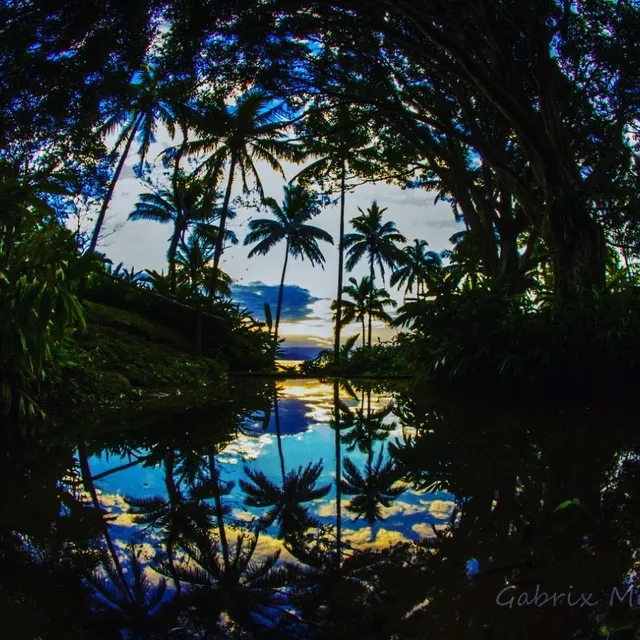 Ilha das Couves São Sebastião