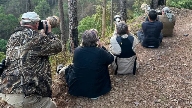 Incredible Birding Camp