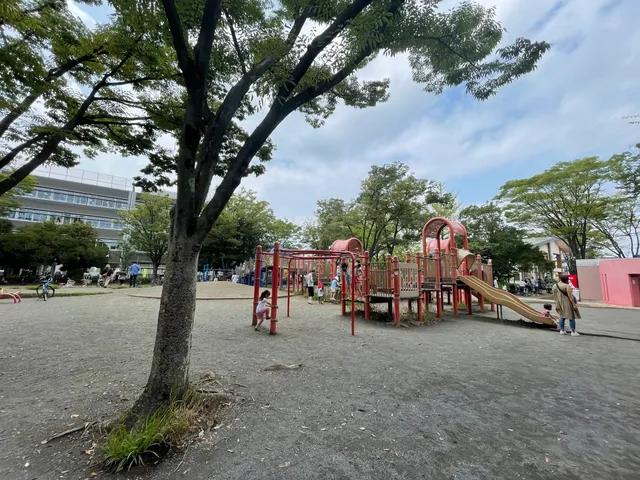 photo-1