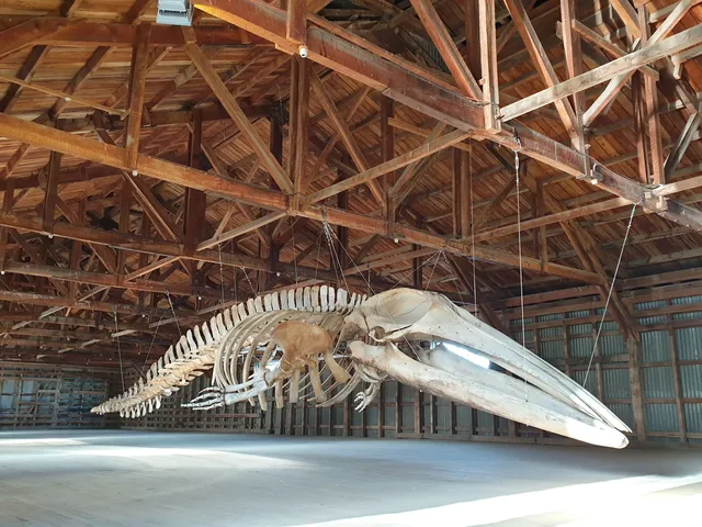 Museo de Historia Natural Río Seco