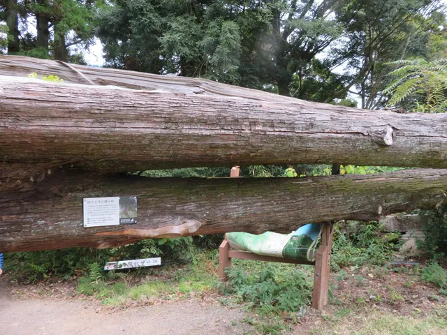 Mayasan Historical Park