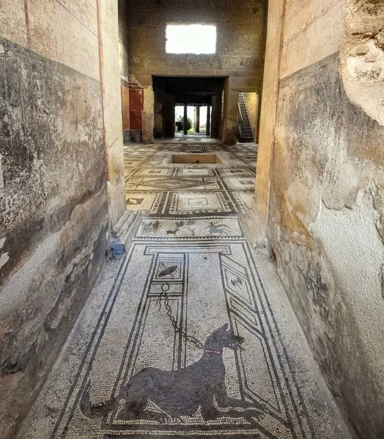 House of the Tragic Poet