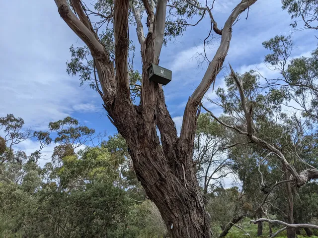 Peninsula Gardens Bushland Reserve.