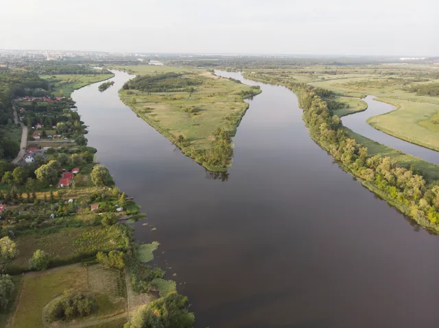 Kurowskie Marshland Nature Reserve