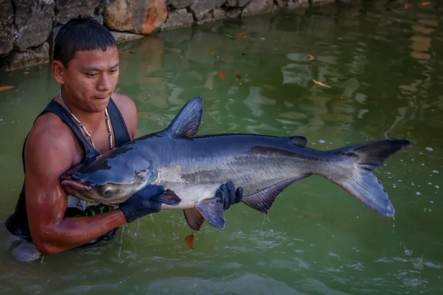 Monster Fishing Park Phuket