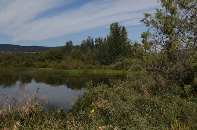 Scout Island Nature Centre