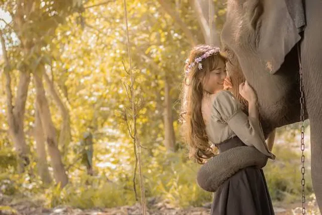 Harry Malter Family Park