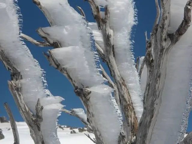photo-1
