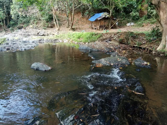 Wisata Arus Alam Sungai Kembang