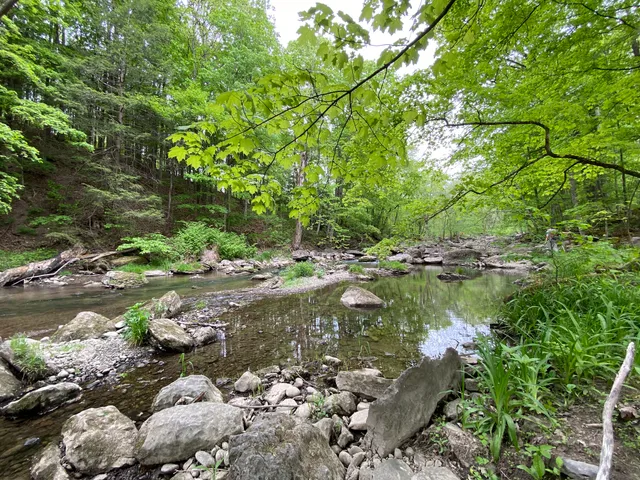 Hollyhock Hollow Sanctuary