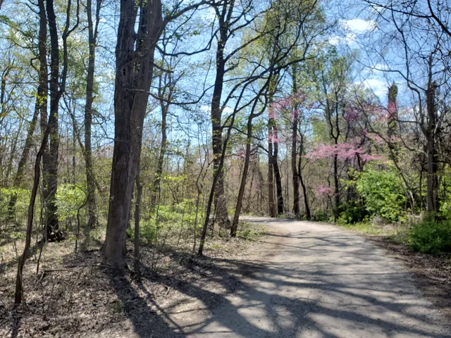 Wapehani Mountain Bike Park