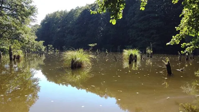 Hubertlaki-tó (Gyilkos tó)