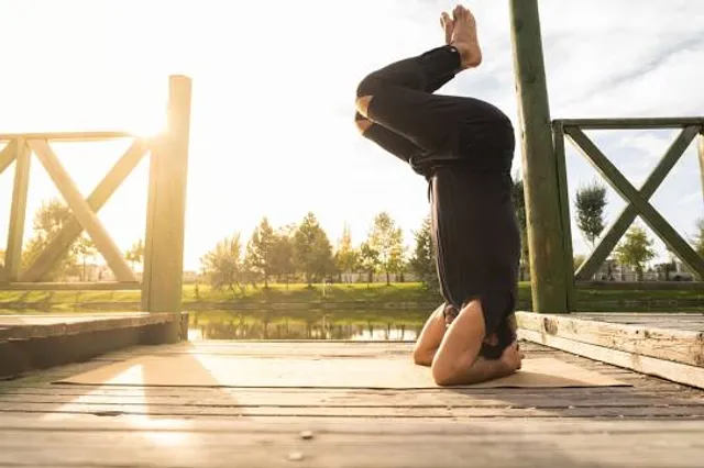 Glinianki w Zielonce