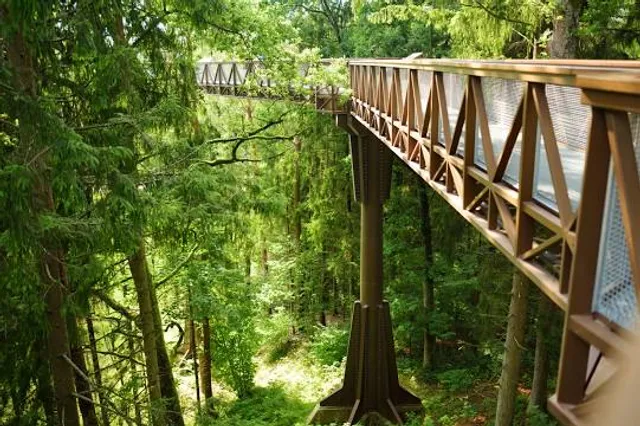 Treetop walking path and information centre