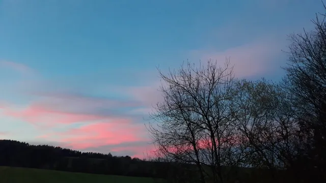 Barbara Krasemann Botanischer Garten