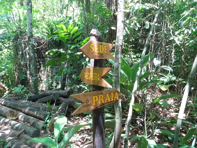 photo-3