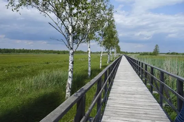 Naturerlebnispfad im Wackelwald
