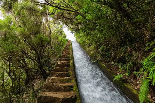 Levada do Alecrim