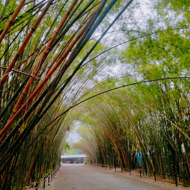 Wat Chulabhorn Wanaram