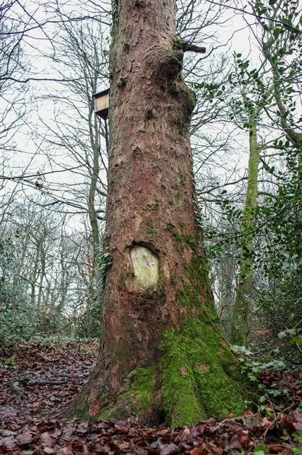 Alkrington Woods Nature Reserve
