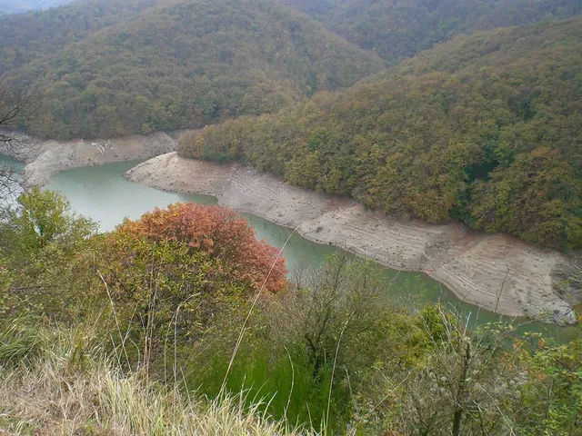 place image