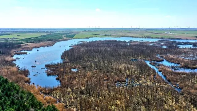 Konarzewo ( Bagno Pogorzelickiej )