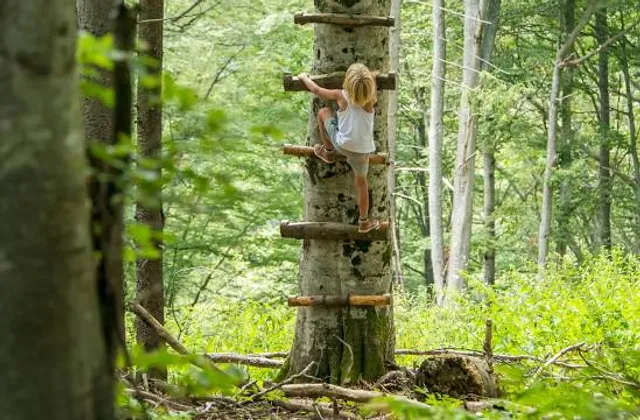 Klimbos Fun Forest Venlo