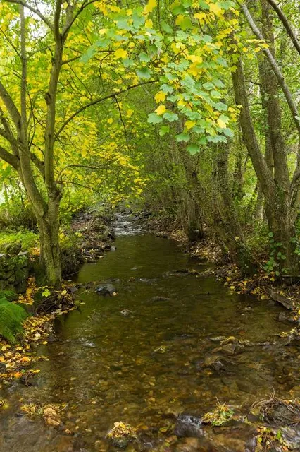 Herrería de Compludo