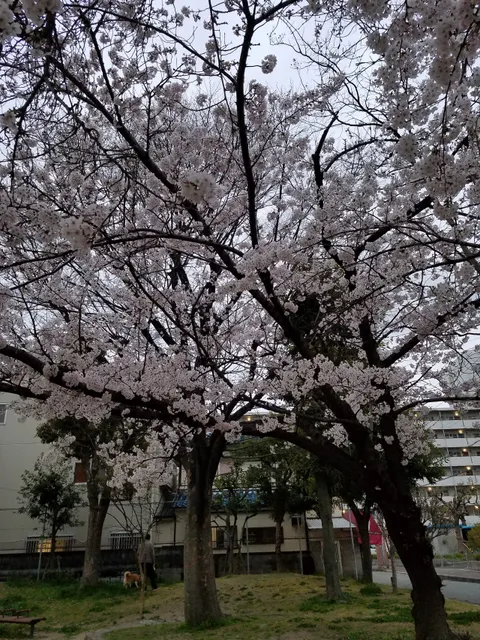 Higashiawaji-minami Park