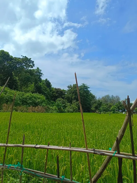 Darianagar Sea View Park