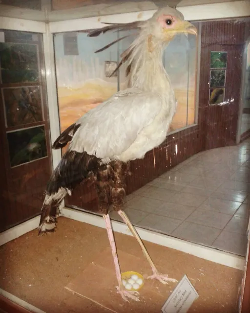 photo-1