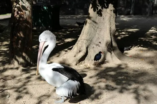 Nyírjes Botanical Garden and Zoo