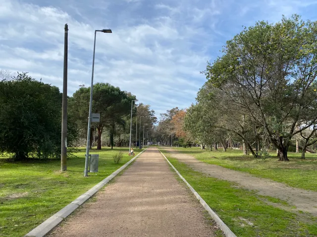 Paseo Pelouse Racine (Domo)