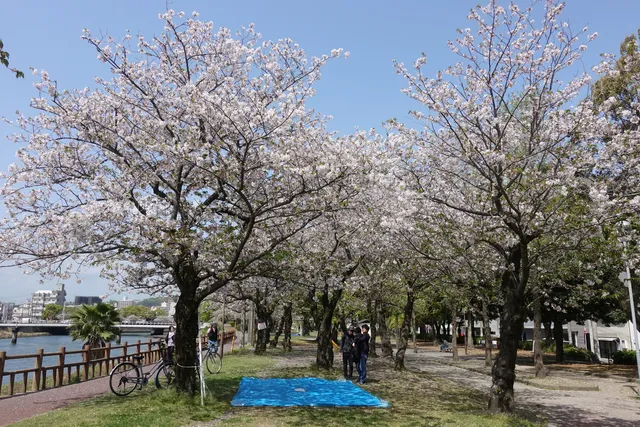 Kotsukigawasagan Ryokuchi Park